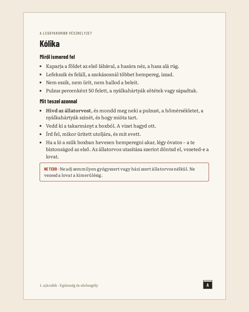 Oldal a programból